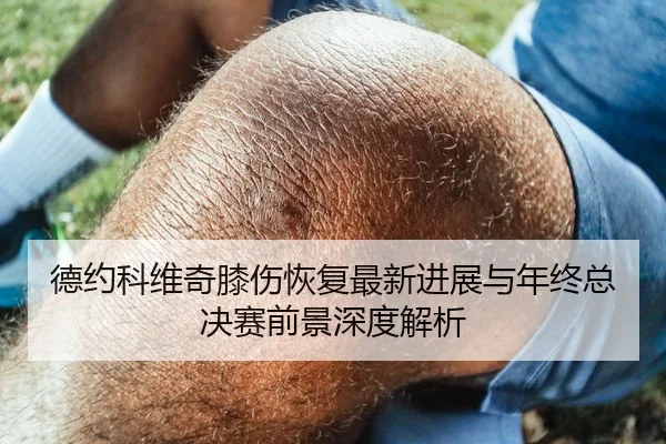德约科维奇膝伤恢复最新进展与年终总决赛前景深度解析